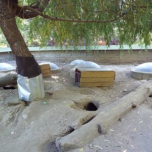 Prairie Dog Exhibit