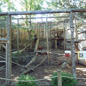 Red Panda Exhibit