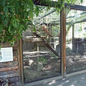Coati Exhibit