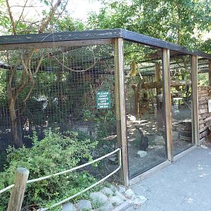 Coati Exhibit