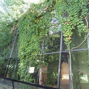 Aviaries