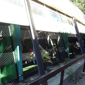 Third World Primate House