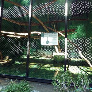 Primate House - White-Fronted Capuchin Exhibit