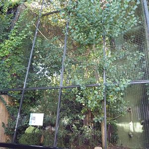 Red-Tailed Hawk Exhibit