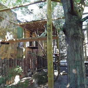 Primate House - Patas Monkey Outdoor Exhibit