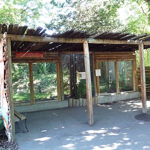 Snow Leopard Exhibit