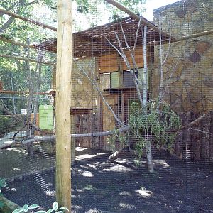 Primate House - Patas Monkey Outdoor Exhibit