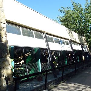 Third World Primate Building