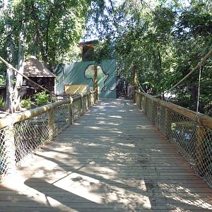African Plains - Entrance Walkway