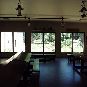African Plains - Schoolhouse + Lion Exhibit