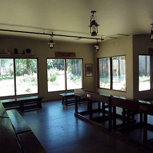 African Plains - Schoolhouse + Lion Exhibit