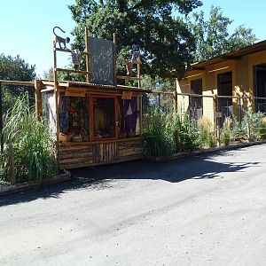 African Plains - Giraffe Exhibit