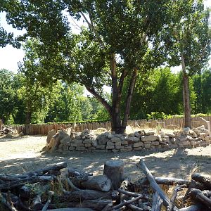 African Plains - Giraffe Exhibit