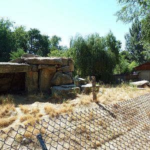 Striped Hyena Exhibit