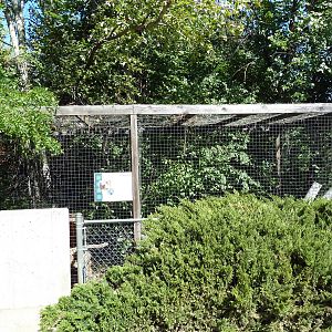 North American Porcupine Exhibit