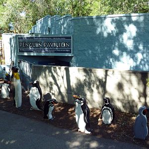 Magellanic Penguin Exhibit - Signage