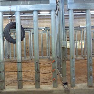 Asian Elephant Exhibit - Barn