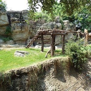 Spectacled Bear Exhibit