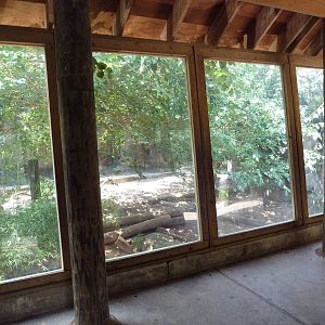 Grizzly Bear Exhibit