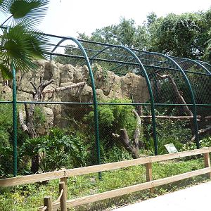 Clouded Leopard Exhibit