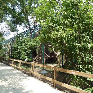 Carnivore Country Exhibits