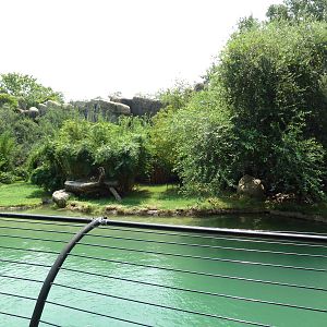 Malayan Tiger Exhibit