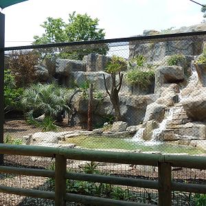 Jaguar Exhibit
