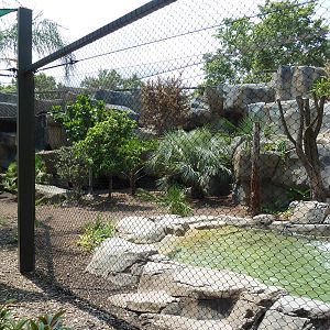 Jaguar Exhibit