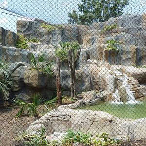 Jaguar Exhibit