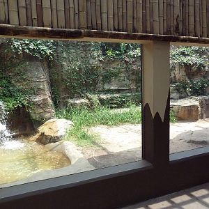 Komodo Dragon Exhibit
