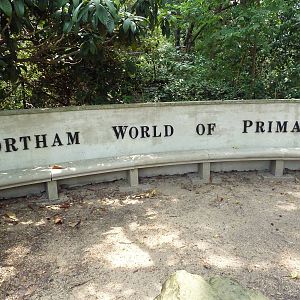 World Of Primates - Entrance Sign