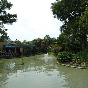 Cafe + Waterfowl Lake