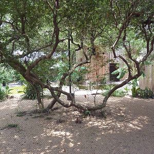 Mixed-Species Aviary