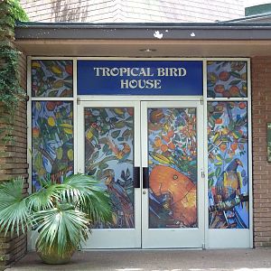 Tropical Bird House