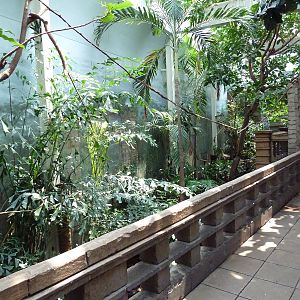 Tropical Bird House - Walk-Through Aviary
