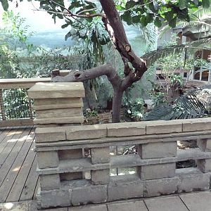 Tropical Bird House - Walk-Through Aviary
