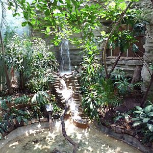 Tropical Bird House - Walk-Through Aviary