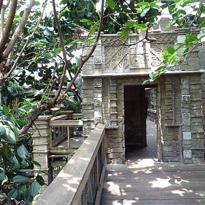 Tropical Bird House - Walk-Through Aviary
