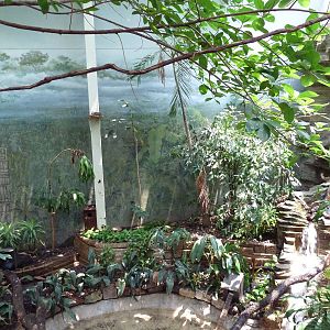 Tropical Bird House - Walk-Through Aviary