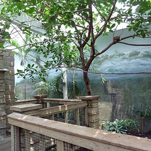 Tropical Bird House - Walk-Through Aviary