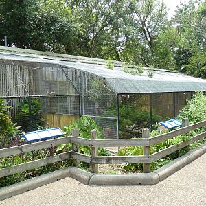Fischer Bird Garden