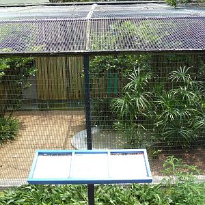 Fischer Bird Garden - Hawaiian Hawk Exhibit