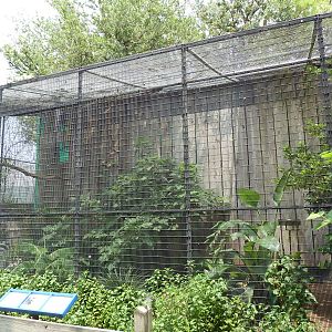 Fischer Bird Garden - Rhinoceros Hornbill Exhibit