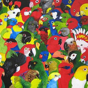 54 Parrots