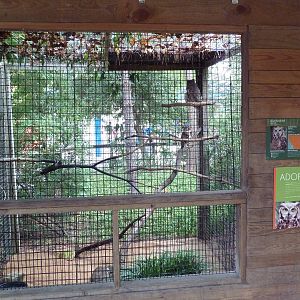 Children's Zoo - Great Horned Owl Exhibit