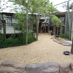 Children's Zoo - White-Tailed Deer/Rio Grande Turkey Exhibit