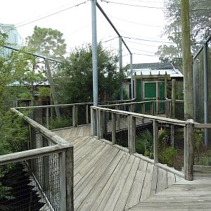 Children's Zoo - Boardwalk