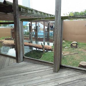 Children's Zoo - River Otter Exhibit