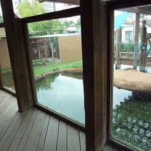 Children's Zoo - River Otter Exhibit