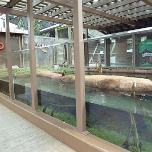 Children's Zoo - River Otter Exhibit